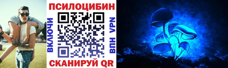 blacksprut вход  Новохопёрск  Псилоцибиновые грибы мухоморы 